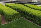 Melrose TAScommercial-landscaping-1.jpg; ?>